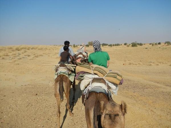 Ratan Hostel Jaisalmer Eksteriør billede